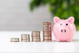 Best Practices for Managing a Non-Profit’s 403(b) Plan